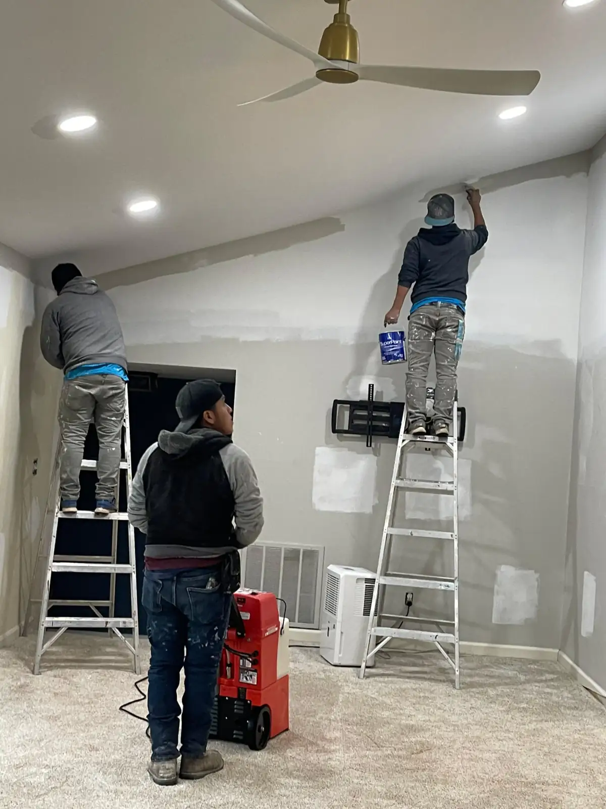 Painting project 202