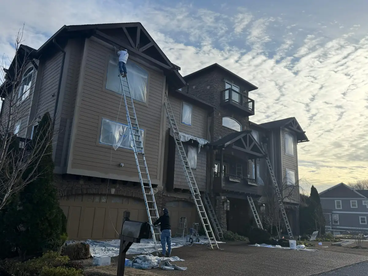 Professional Painting