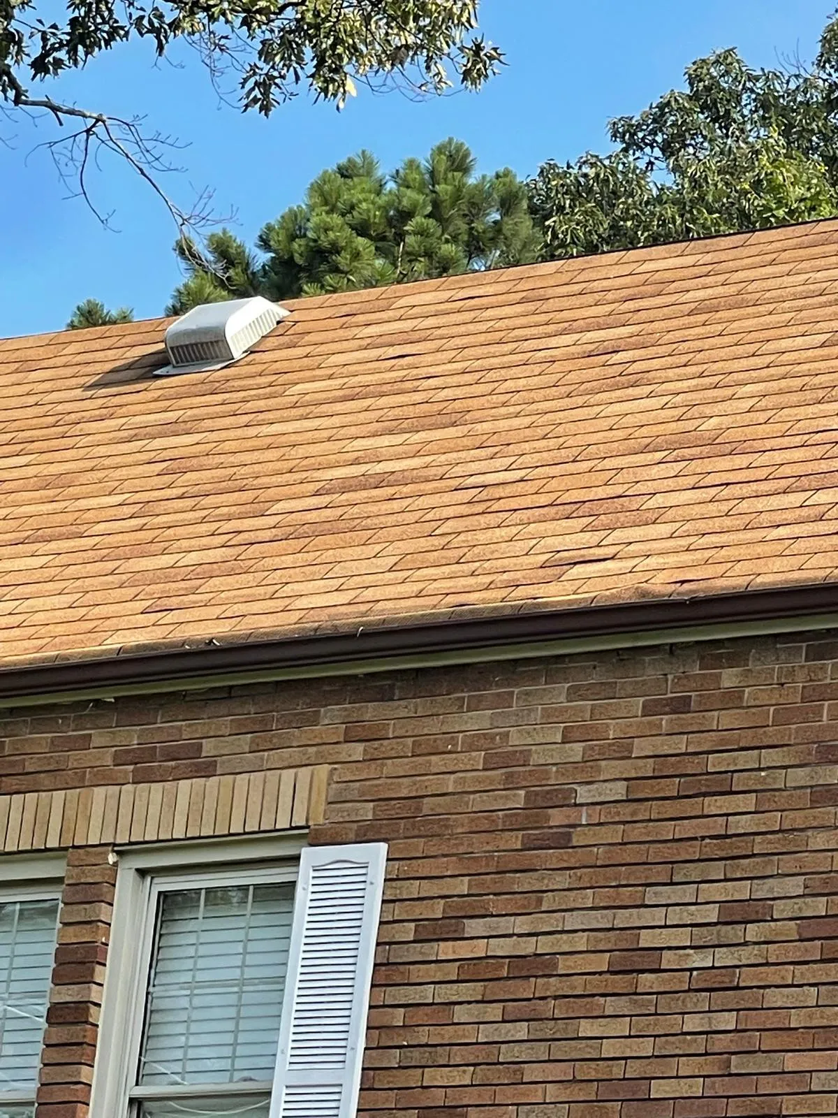 Roofing Services